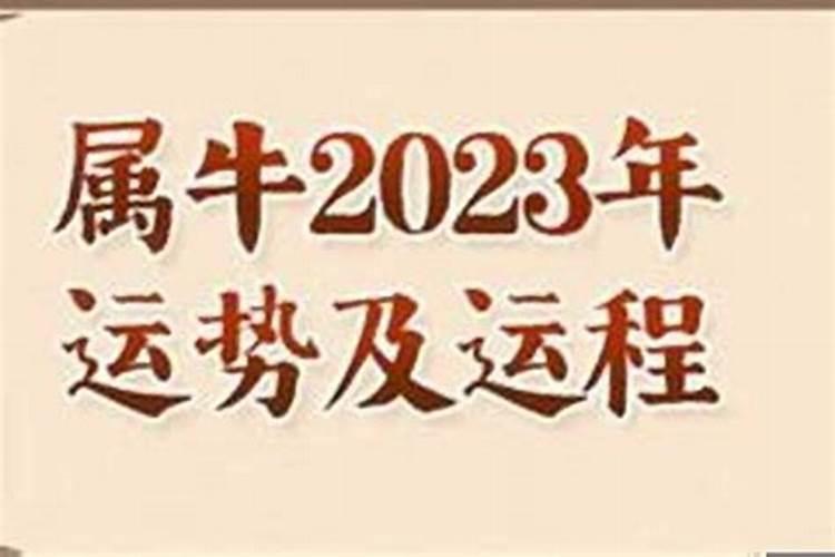 2023年属牛运势1973