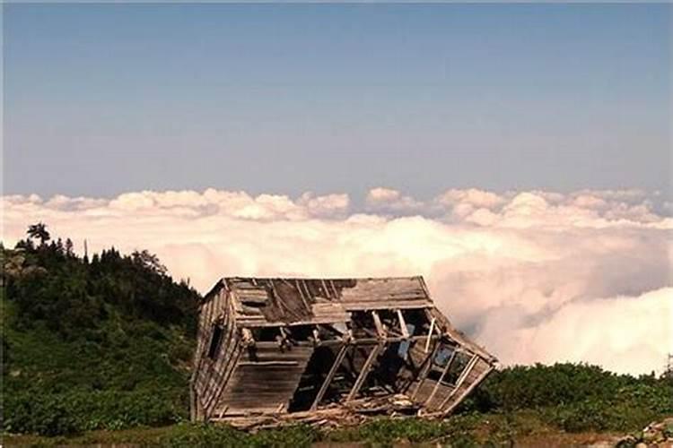 梦到浇菜地是什么意思