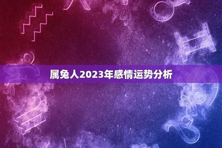 属兔人2023年全年运势男性婚姻