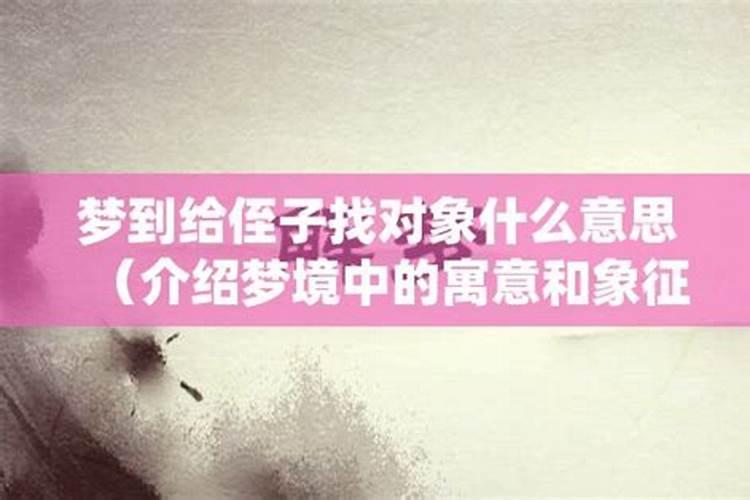 梦见远方的侄子回来了啥意思啊