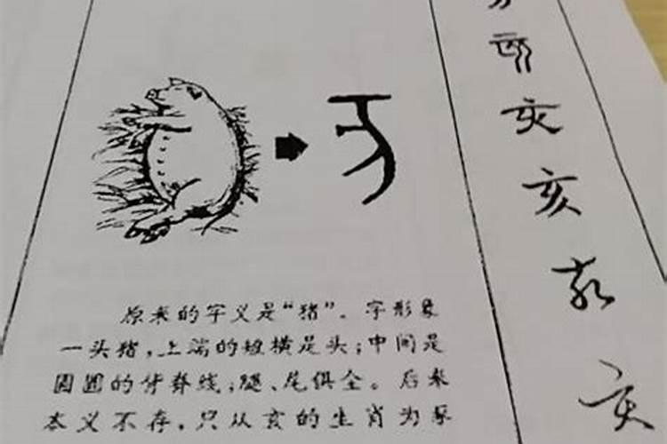 八字中有三个亥的后果