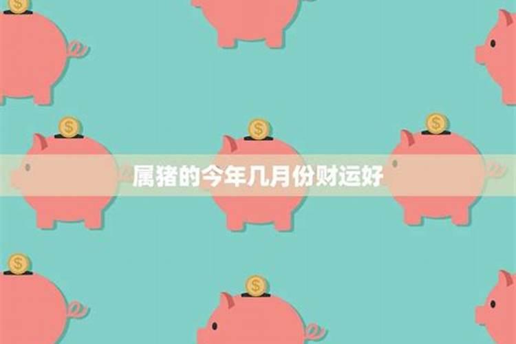 属猪2月份的运势如何