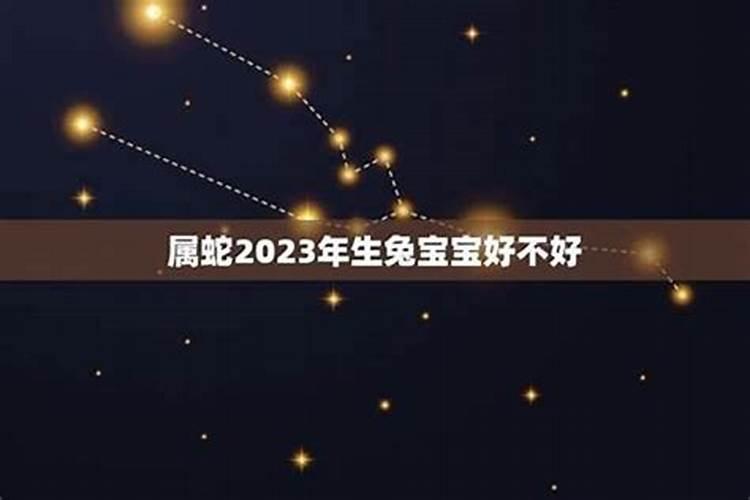 属蛇2023年生宝宝好不好