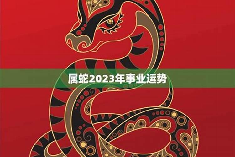 属蛇2023年怎样增进事业运势