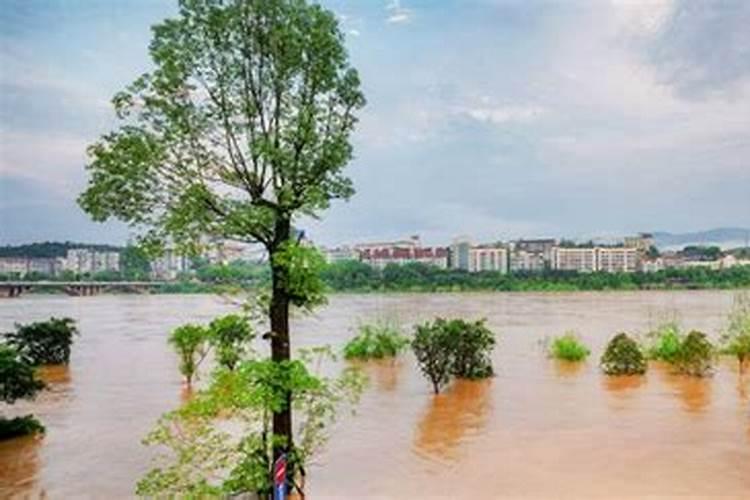 梦见老家涨洪水大雨