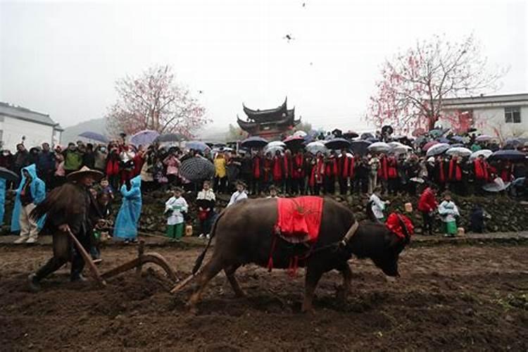 衢州九华立春祭祀