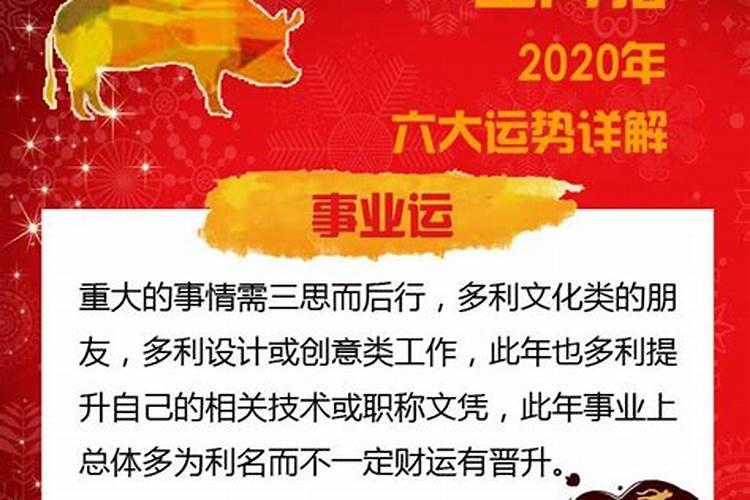 2020年属猪人12月份的运势