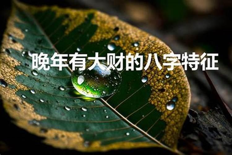 晚年有福的八字