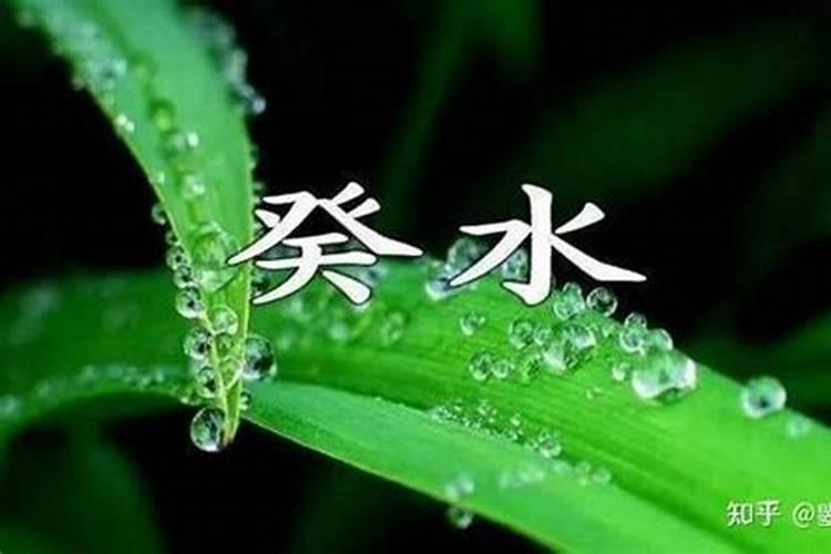 癸水今年运势