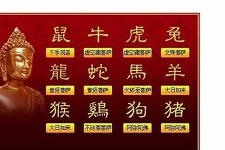 本命佛总部官网八字算命