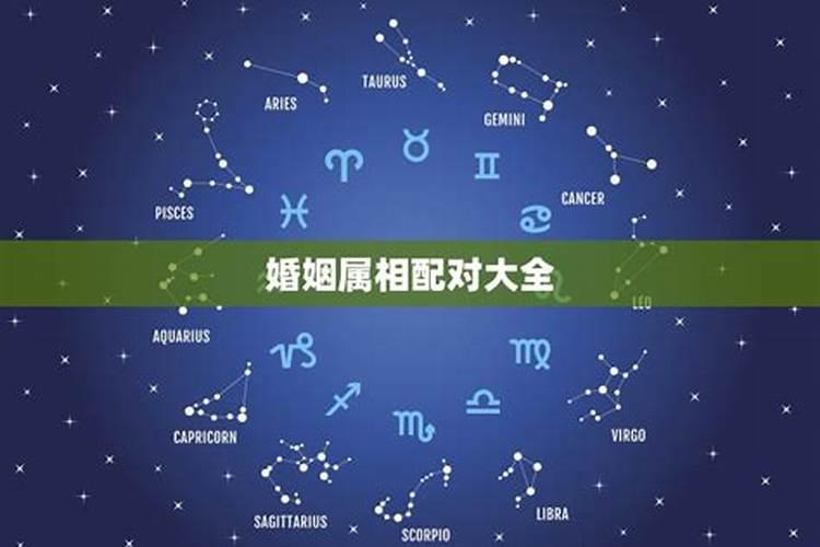 八字星座匹配算法