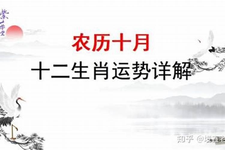 1991农历十月二十五今年运势