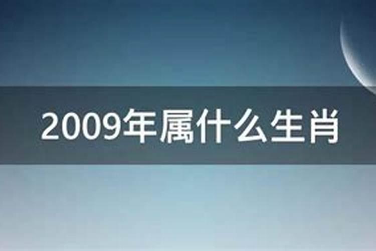 2009年是属什么的什么命