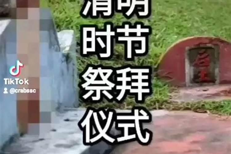 清明上坟墓拜祖先的下一句怎么说