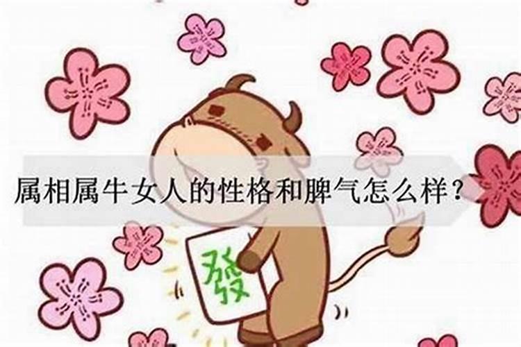 什么生肖的女人最好