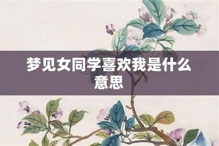 做梦梦见女孩喜欢我