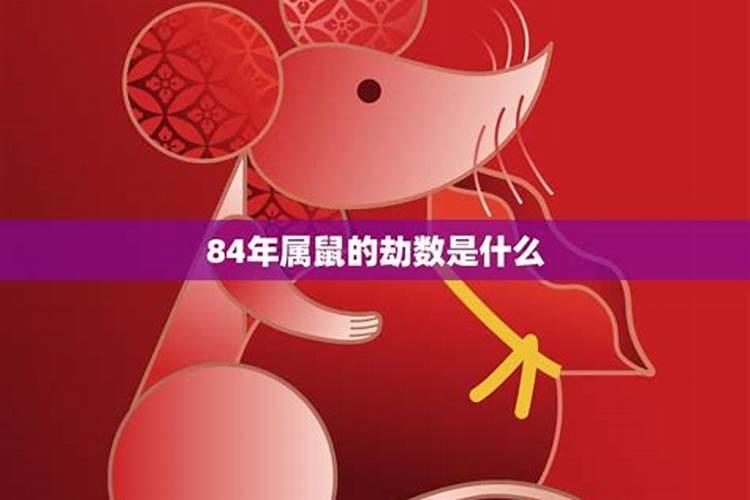 84年属鼠2020年运势最新