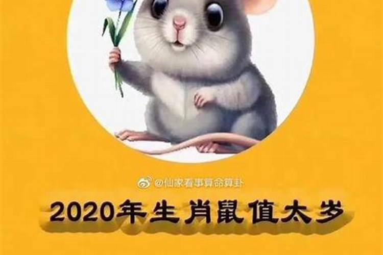 84年属鼠2020年运势