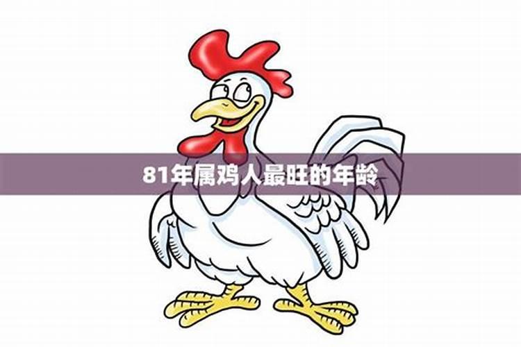 81年属鸡的人一生经历什么