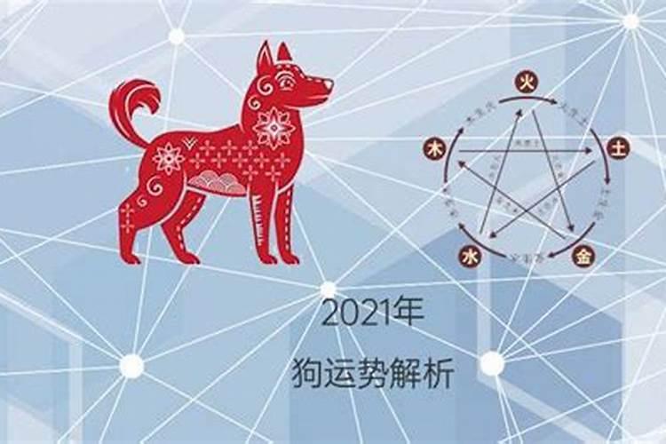 生肖狗2022上半年运势