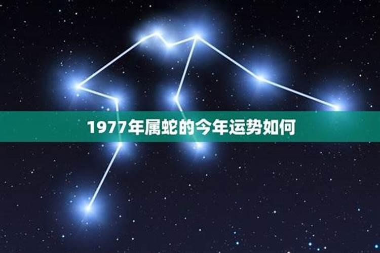 1977年属蛇人运程