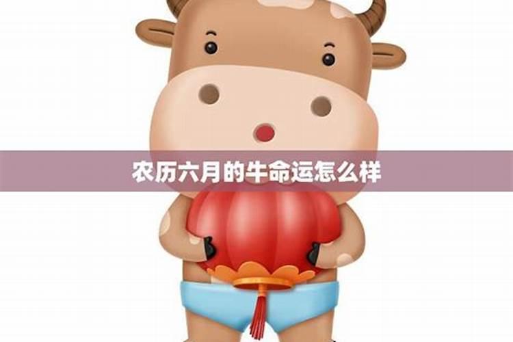 属鼠男今年农历六月的运势如何