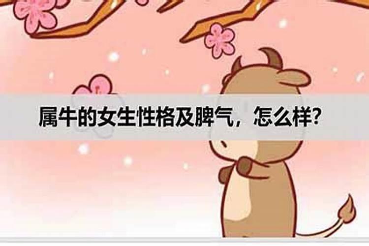 12月份属牛的女生是什么命