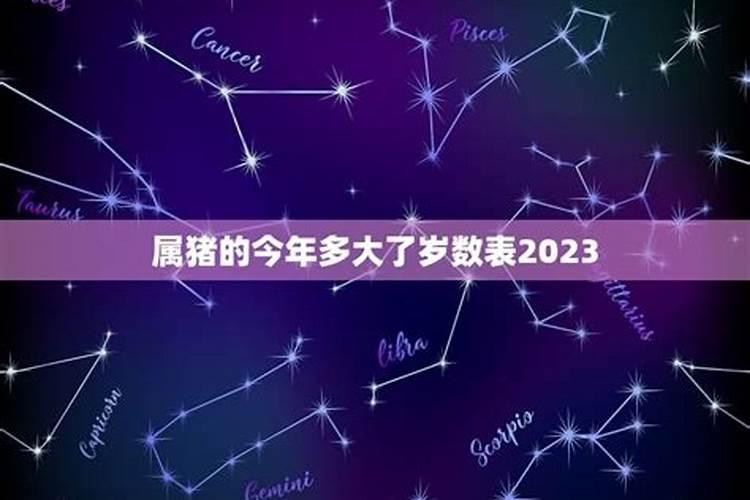 2023属猪多大