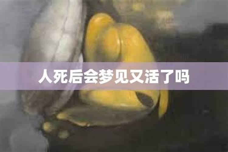 梦见亲人死后又活了