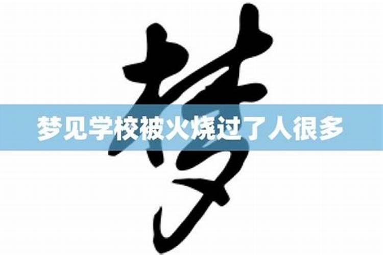 梦见手被烧了