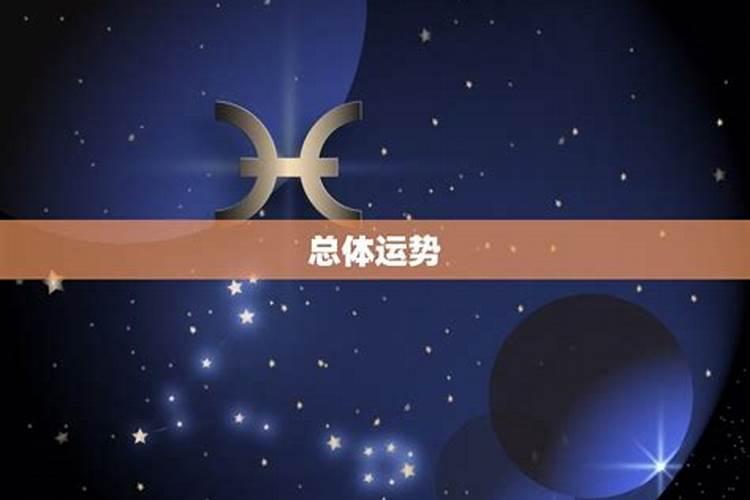 属蛇今年运势11月运势2023年结婚好不好