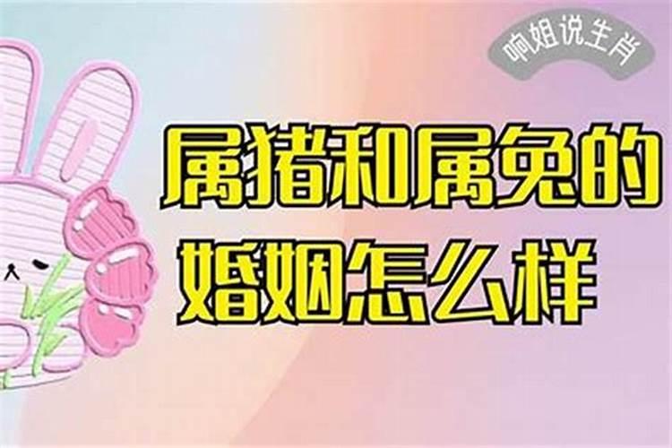 属兔摩羯女命运与婚姻