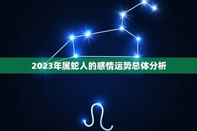 属蛇人2023年下半年感情运势如何