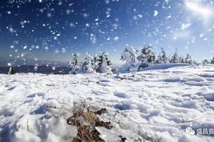 梦到好大的雪花飘