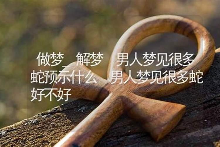 男人梦到很多蛇预示着什么意思解梦