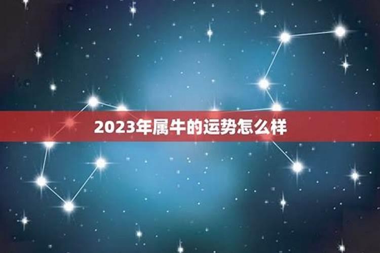 属牛女2023十一月运势如何