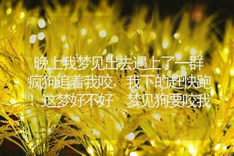 梦见一群蚂蜂追