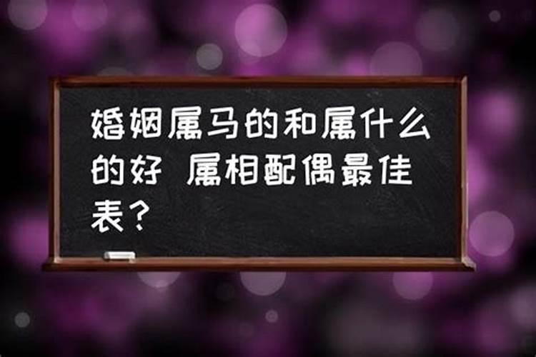 马跟什么属相合得来婚姻好一点