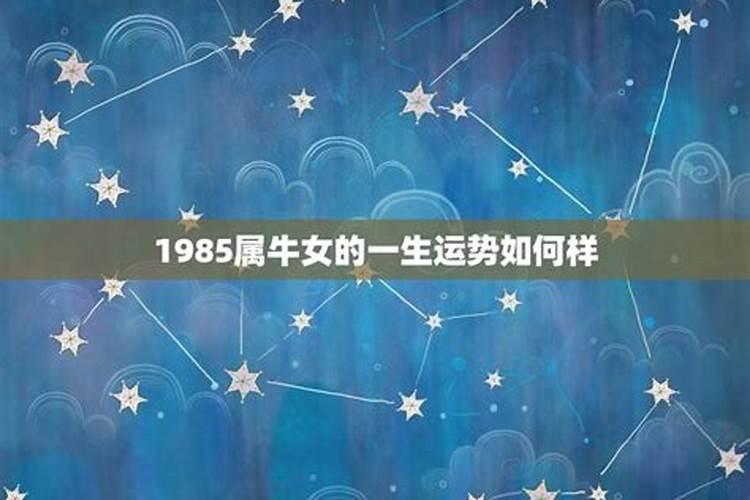 1985属牛一生运势如何