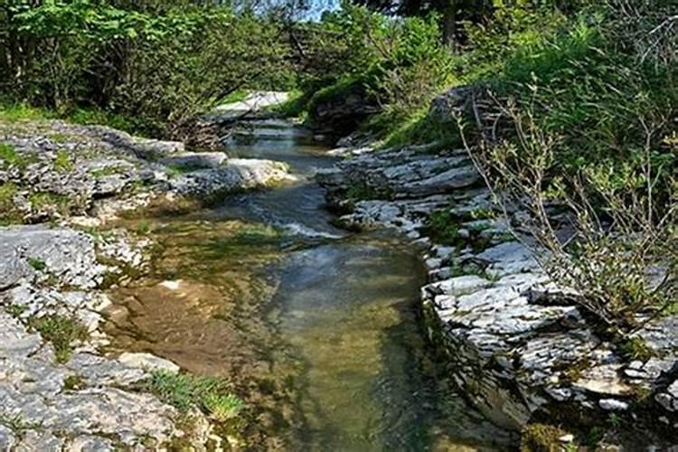 梦见山上涨水顺流而下好不好