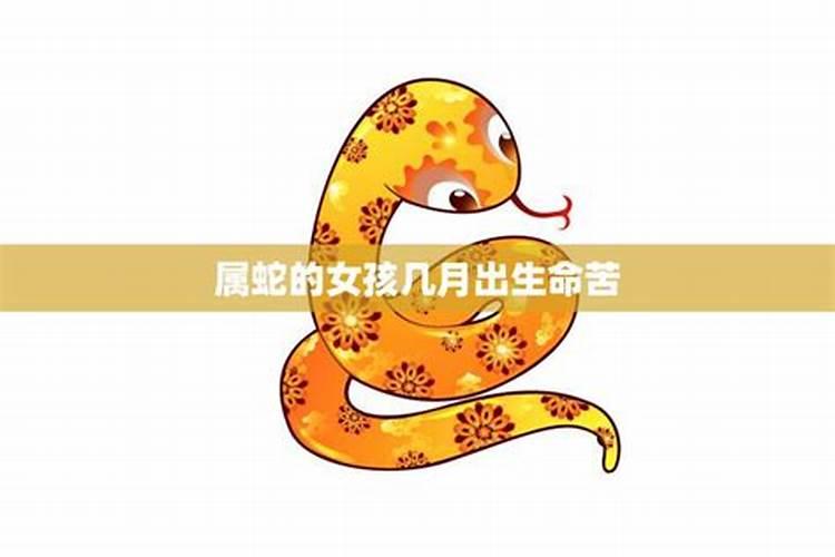 8月份的属蛇