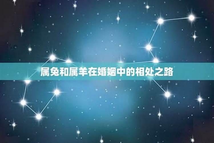 属兔和属羊2020什么时候结婚