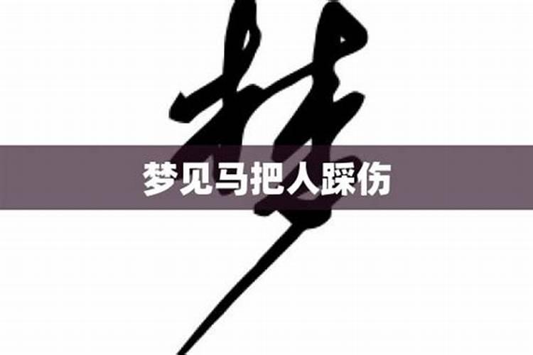 梦到马受惊了攻击人