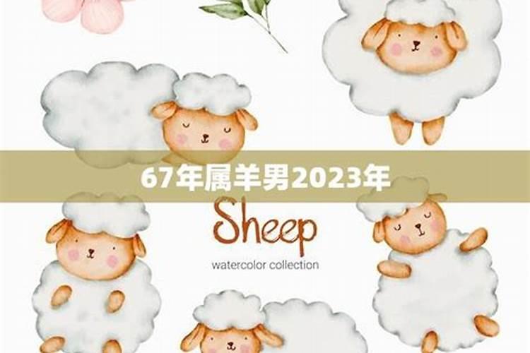 67年属羊男在2023年的运势