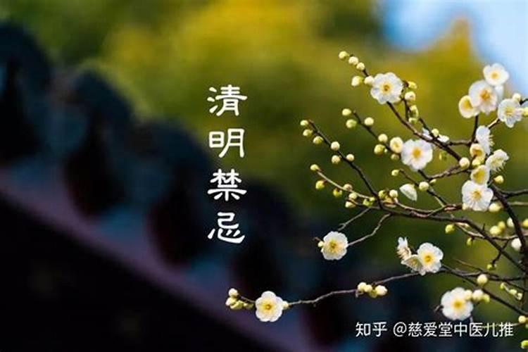 清明节上坟讲究9大禁忌