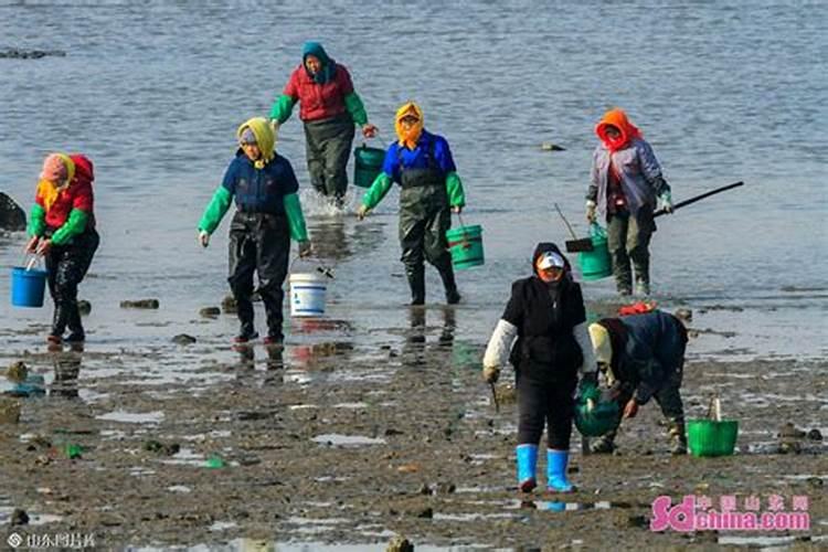 梦到退潮赶海