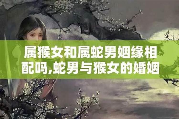 属猴女跟属蛇男的合不合婚姻