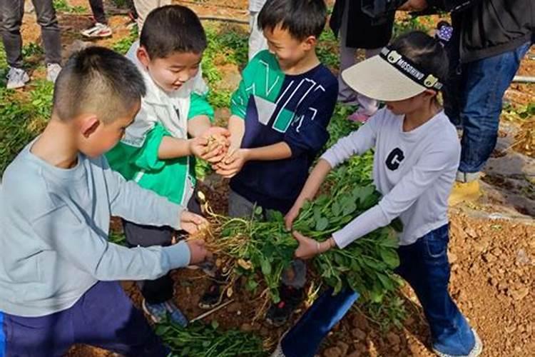 梦见到地里去拔秧苗好不好