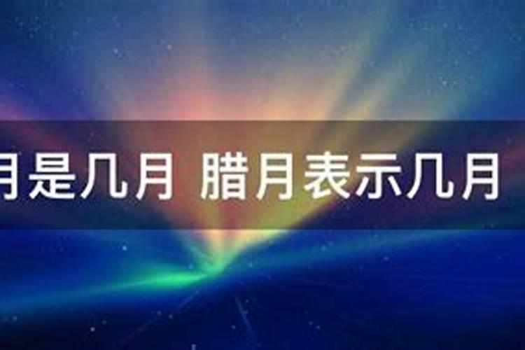 梦到巨蟒预示着什么周公解梦