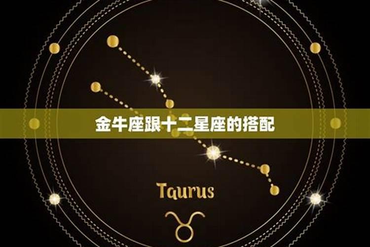 金牛座的男生配对星座